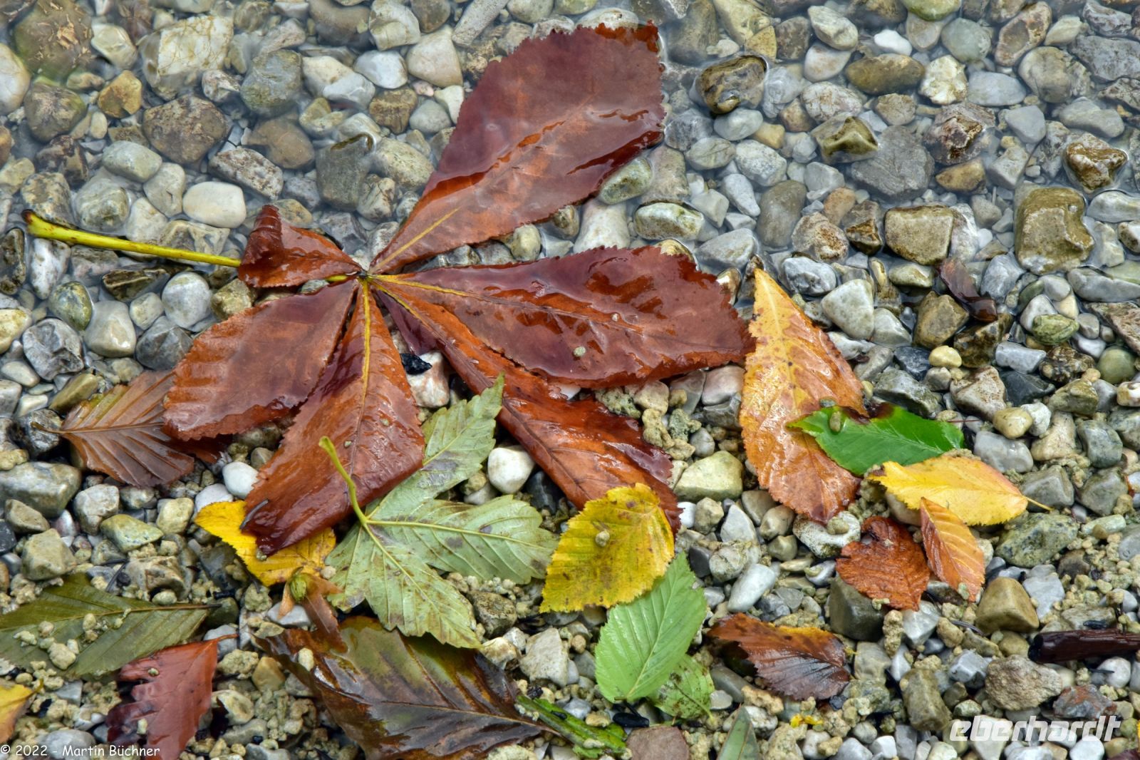 Berchtesgadener Land - Königssee - St. Bartholomä - Herbst-Stimmung