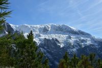 Aufstieg zum Kehlsteinhaus - Blick zum Hohen Brett