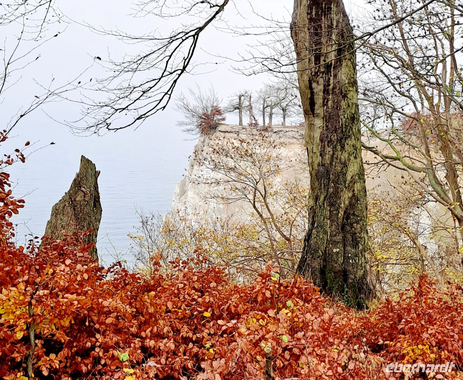 Rügenrundfahrt Blick auf Königstuhl