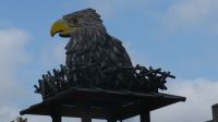 leider nicht echter Adler am Forstwächterhaus
