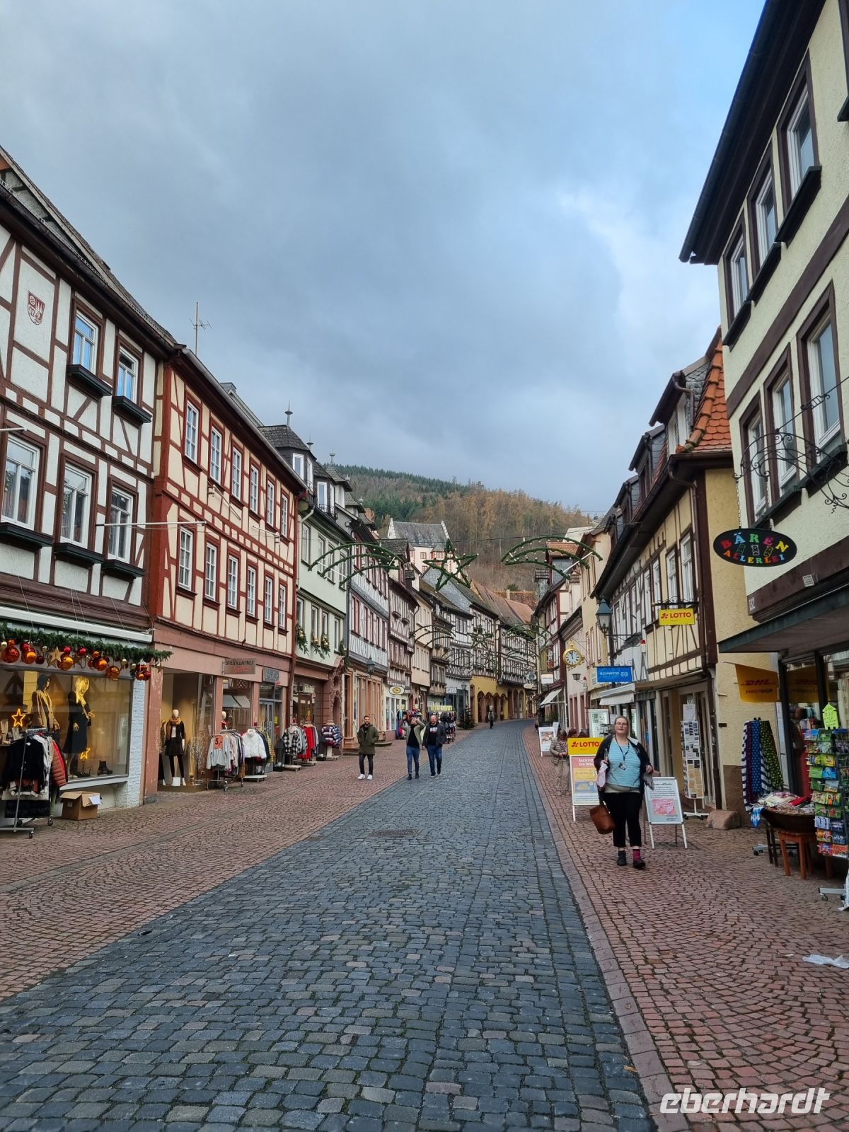 Miltenberg am Main 