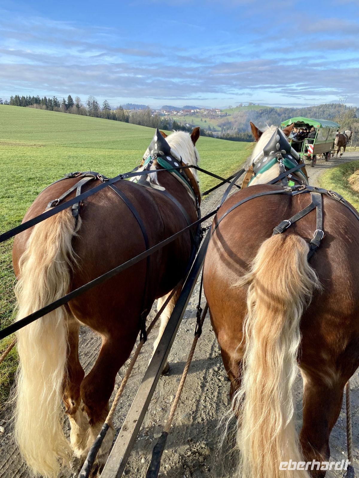 Tag 3 - Kutschfahrt mit dem Michlbauer durch den Bayerischen Wald 