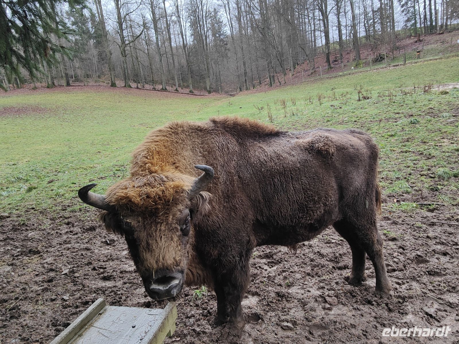 Wildpark Gersfeld