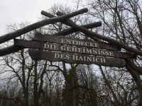 Auf zum Baumwipfelpfad im Nationalpark