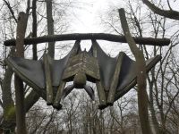 Heimat von vielen Fledermausarten