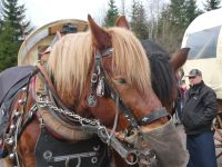 auch wir haben Hunger