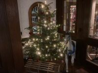 1. Reisetag – Fahrt nach Alpirsbach im Schwarzwald – Weihnachtsbaum im Hotel Rössle