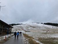 2. Reisetag – Ausflug in den südlichen Schwarzwald – Aufenthalt am Feldberg
