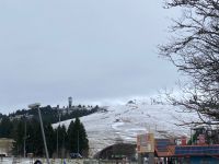 2. Reisetag – Ausflug in den südlichen Schwarzwald – Aufenthalt am Feldberg