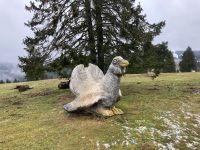 2. Reisetag – Ausflug in den südlichen Schwarzwald – Aufenthalt am Feldberg