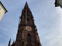 3. Reisetag – Stadtführung in Freiburg – Münster
