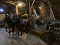 3. Reisetag – Führung und Kaffeetrinken auf dem Hansmeyerhof