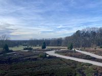 Tag 4 - Heidegarten Schneverdingen