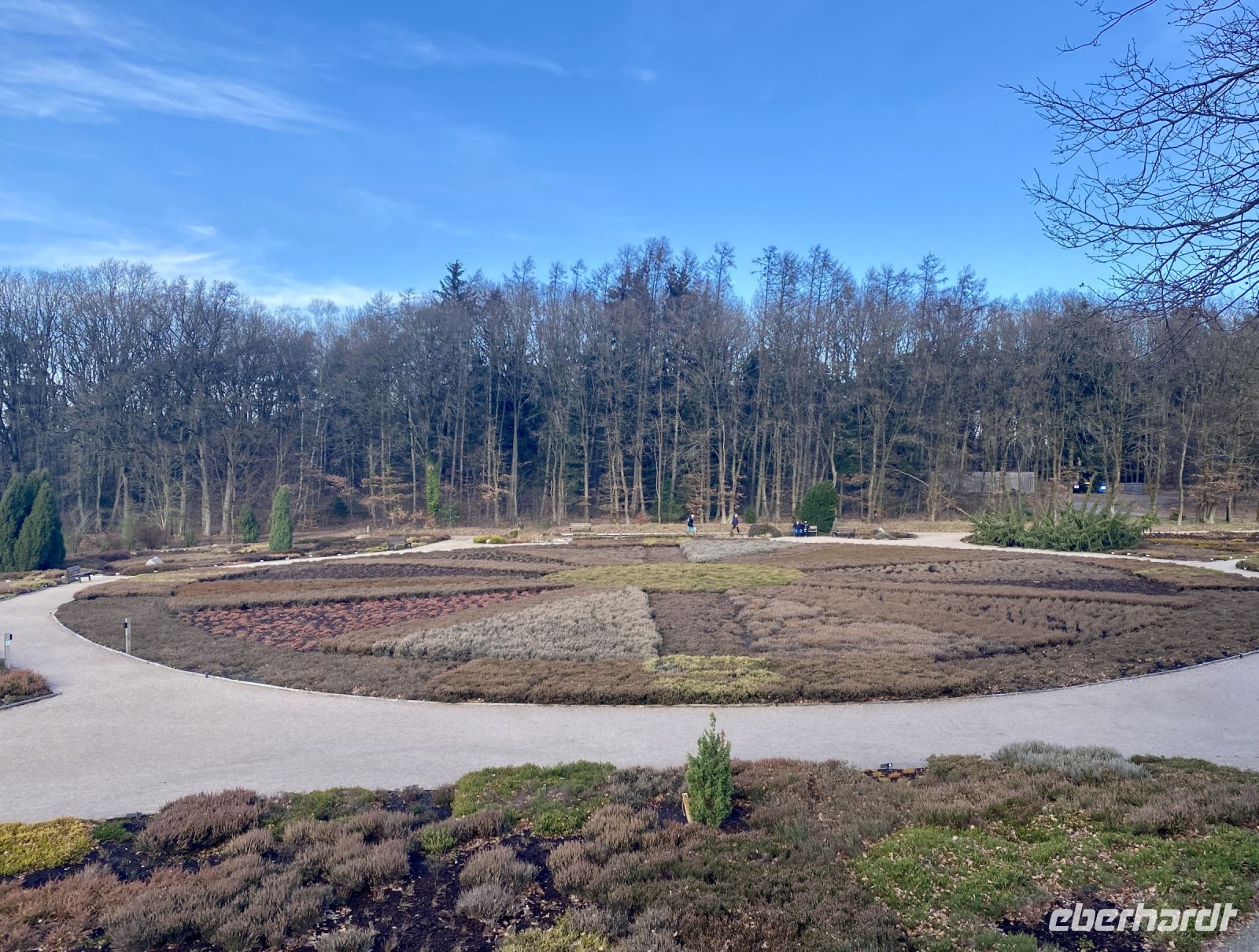 Tag 4 - Heidegarten Schneverdingen 