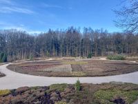 Tag 4 - Heidegarten Schneverdingen 