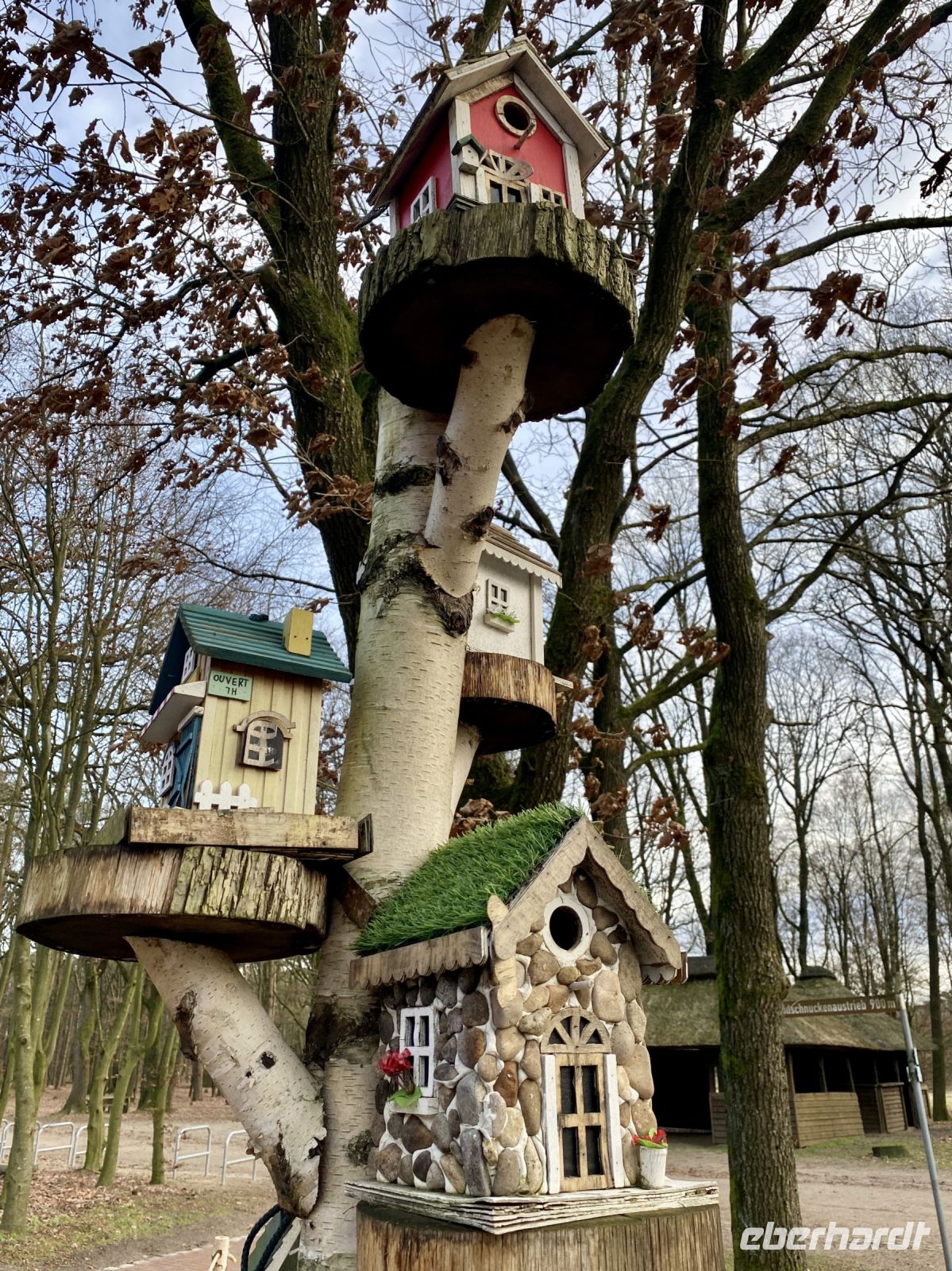 Tag 4 - Vogelhotel im Heidegarten 