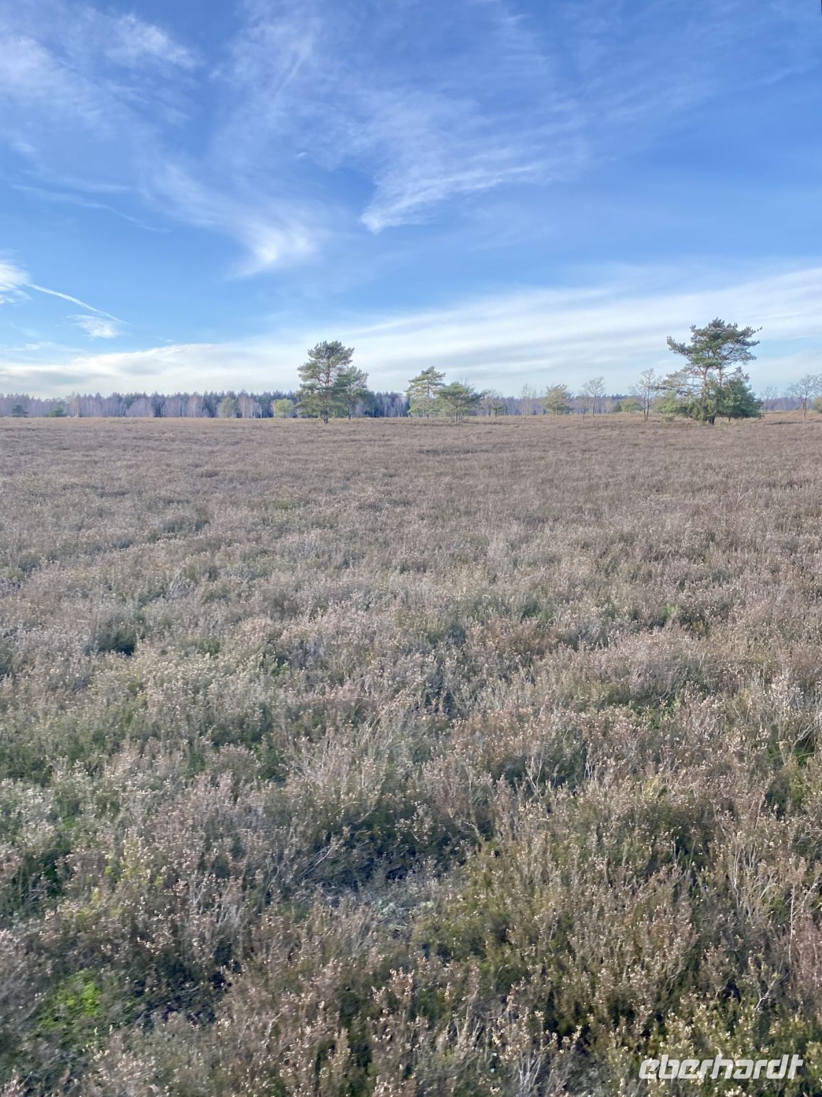 Tag 4 - Kutschfahrt durch die Heide