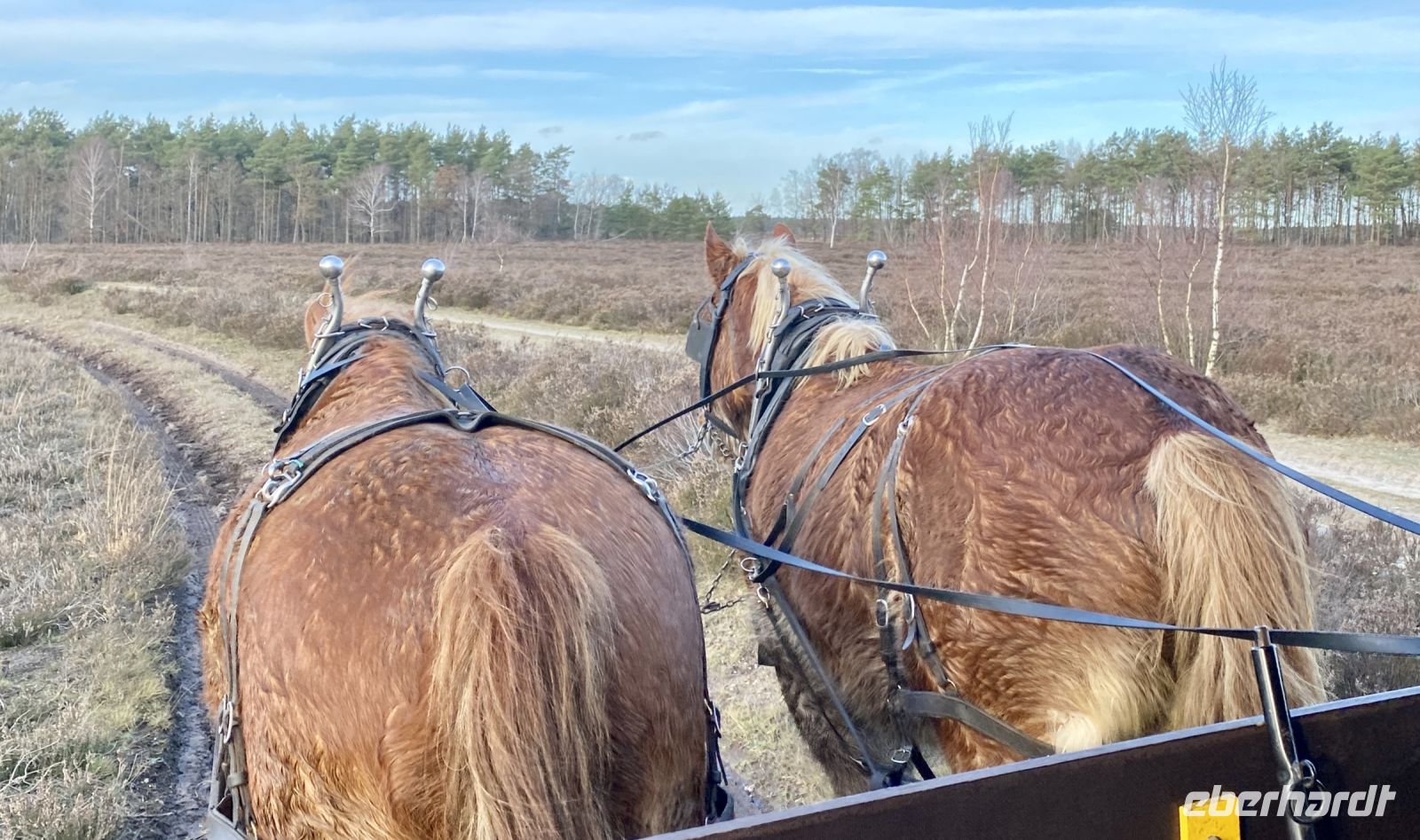 Tag 4 - Kutschfahrt durch die Heide