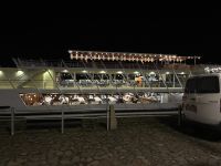 Silvestervorbereitung auf der 