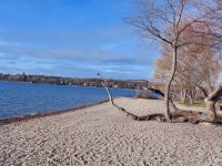 Tag 2 (11) 5-Seenland - Am Ammersee.jpg