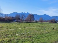 Tag 6 (2) Neujahrsspaziergang  mit Blick auf das Mangfallgebirge .jpg