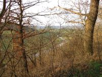  Blich ins Unstruttal