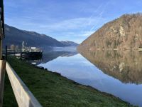 Schlögener Schlinge, Donau