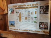vom Getreide zum Mehl....
