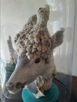 3 Schlos Erbach ..jpg