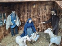 Krippe in Rosenheim.jpg