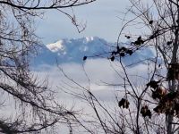 Blick Zamer Kaiser von Kanzelkehre.jpg