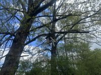 Kloster Benediktbeuern - Klangpfad 