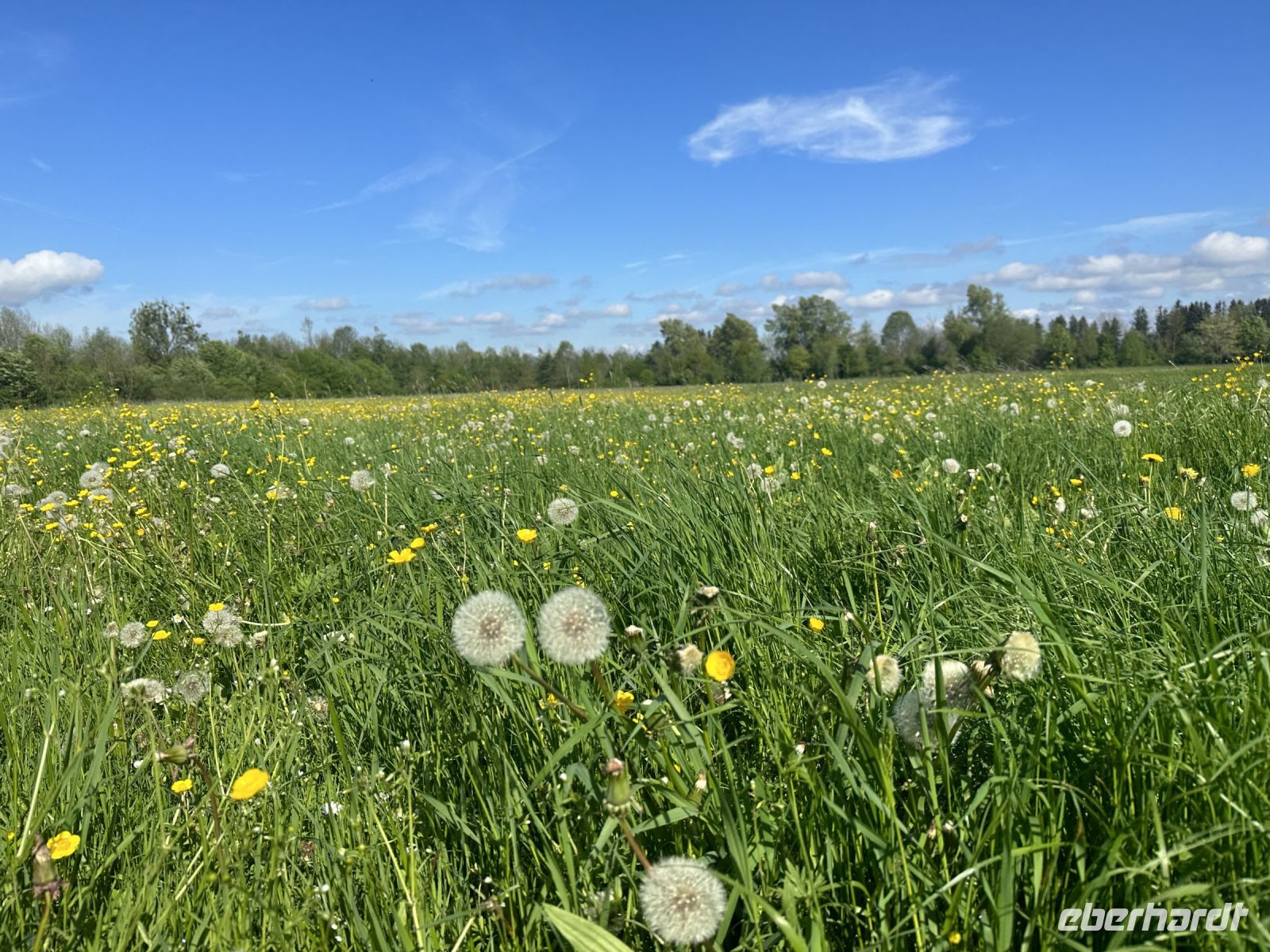 Kloster Benediktbeuern - Umgebung 