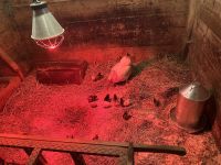 Freilichtmuseum Glentleiten 