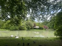 München - Stadtrundfahrt mit Rikscha 