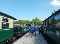 Rasender Roland auf der Strecke von Binz nach Sellin