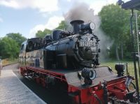 Rasender Roland auf der Strecke von Binz nach Sellin