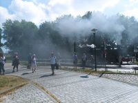 Rasender Roland auf der Strecke von Binz nach Sellin