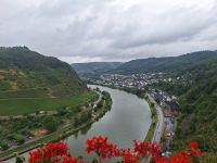 Cochem Blick zur Mosel