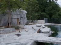 DSCN7634.JPG  Pinguine