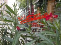 DSCN7724.JPG   hier wurde das Spaghettieis erfunden