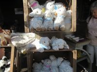  Souvenirs, Souvenirs,...