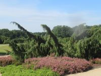  Blick in den Heidegarten