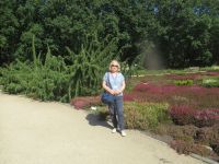 in der Lüneburger Heide