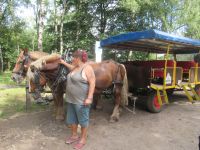  unsere Pferdekutsche