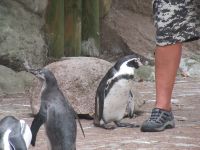 ...und mögen sogar Nähe.