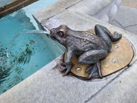 Marktbrunnen Bregenz