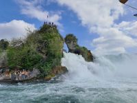 Felseninsel Rheinfall