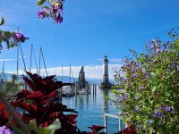 Hafen Lindau