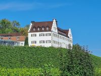 Rückfahrt nach Bregens - Weinanbaugebiet Kressborn